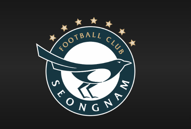 Logo của Seongnam FC thể hiện sự độc đáo tinh tế